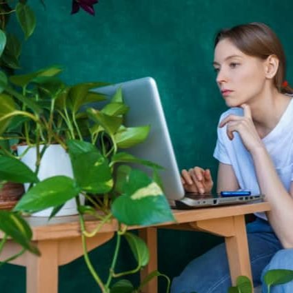 AdobeStock_232068637 (4) (1)